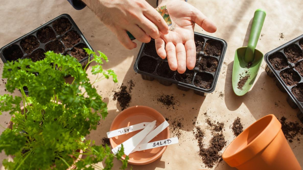 A Guide to Indoor Fruit and Vegetable Cultivation: Growing Fresh Produce at Home